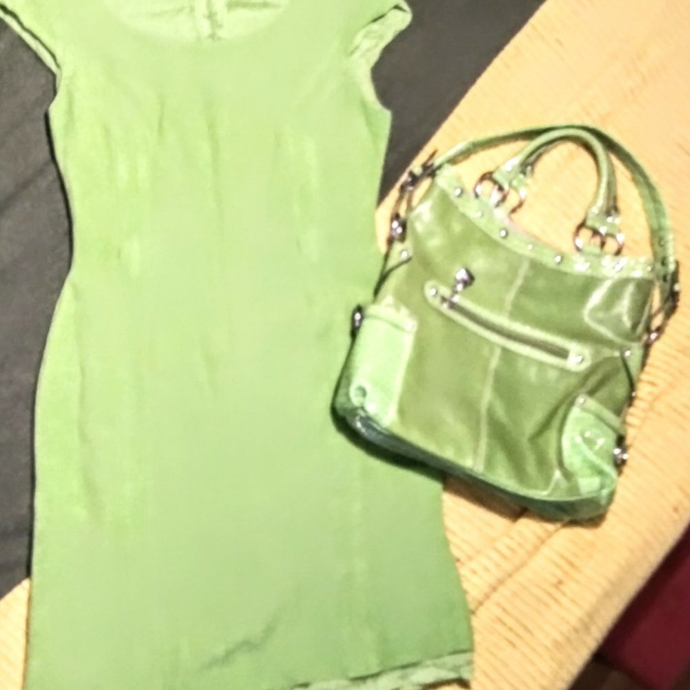 Glorious Green Dress With Magnificent Matching Purse Set
